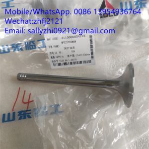 Buy cheap sdlg Exhaust valve 4110000054215 for Weichai Deutz TD226B WP6G125E22, weichai engine parts for sale from wholesalers