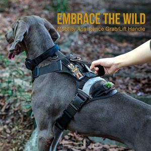 Multi Use Personalized Dog Harness Adjustable Nylon Pet Dog Harness With