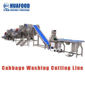 Buy cheap High Productivity Cabbage Washer Machine Salad Vegetable Washing Machine With CE Certificate from wholesalers