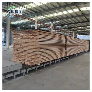 Wood Modification Machine Is Suitable For Various Wood Materials