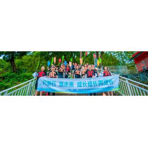 PVkingdom (Chongqing) New Energy Co., Ltd.