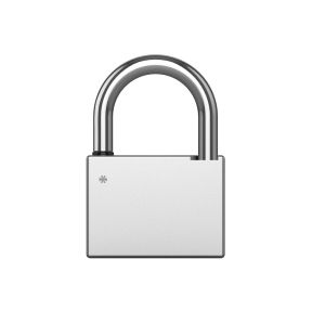 Smart Padlock (Heavy Duty)