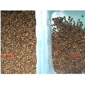 Green Coffee Bean Color Sorting Mini Roasted Raw Coffee Color Sorter