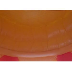 Kids Happy Birthday Small Jumping Castle Handing Drawing PVC Tarpaulin