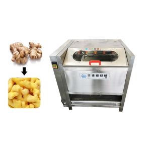 Brush SUS304 380v 50hz 700kg/H Ginger Washing Machine