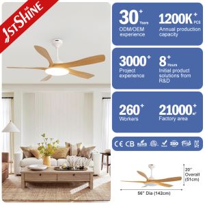 Modern Design 5 ABS Blades LED Ceiling Fan with Silent Motor and ROHS Certificat