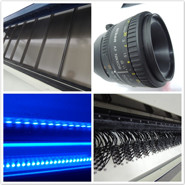 Buy cheap Chestnut Processing Sorting Machine Color Sorter For Chestnut Grading Machine Factory Price from wholesalers