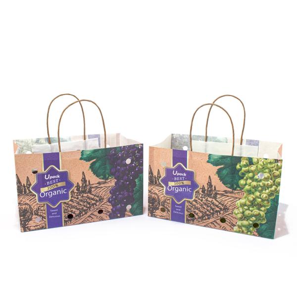 Buy cheap Square Fruit Paper Bags 100gsm Thickness Compostable With Handle from wholesalers