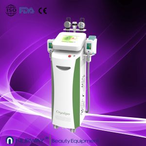 Buy cheap RF cryolipolysis slimming machine / vacuum slimming beauty machine with Bottom Price from wholesalers