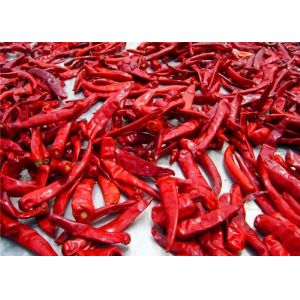 Buy cheap Sanying Dehydrating Hot Peppers Mala Dried Whole Chillies KOSHER from wholesalers