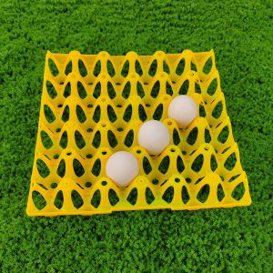 Buy cheap 30 Holes Rectangular Plastic Egg Tray Eco Friendly product
