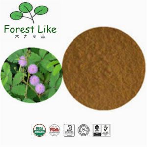 Buy cheap Finely Shredded Mimosa Extract Mimoside Sensitiveplant Herb Extract from wholesalers