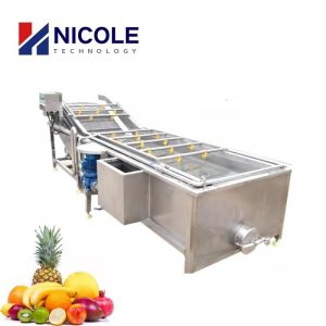 Industrial Bubble Fruit And Vegetable Washing Machine Cleaner Automatic CE