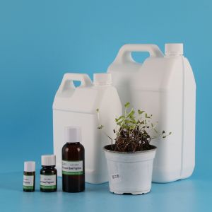 High Purity Spearmint Toothpaste And Mouthwash Perfume Essential Fragrance Oil