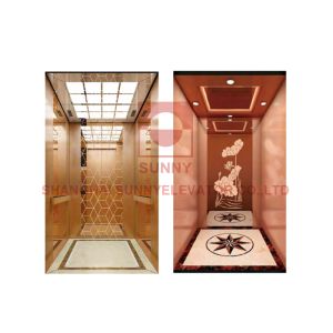 Buy cheap Home Observation Panoramic Passenger Elevator With Vvvf Control from wholesalers