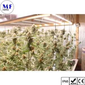 Full Spectrum IP65 LED Grow Light Waterproof High Efficiency Grow Plant Bar Lamp
