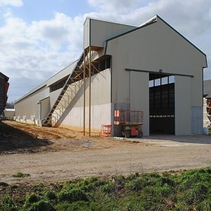 Buy cheap Steel Structure Workshop Main Structure Steel Structure -H Steel Connection Form Bolt Connection Customized For Workshop from wholesalers