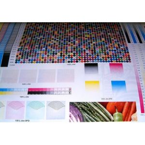 Buy cheap High Speed CE Automatic Hot Air IR Drying 6 Color Roll To Roll Flexo Printing Machine from wholesalers