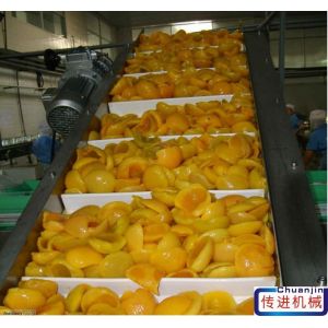 Modular Plastic Belt Conveyor for Food Industry Package Line