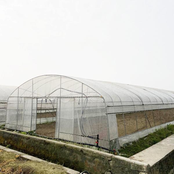 Quality 6x15m Tunnel Greenhouse For Flower And Vegetable Farming Projects for sale