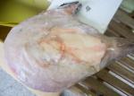 Buy cheap Whole Round Frozen Monkfish 200 / 300 Size Iso22000 Certification from wholesalers