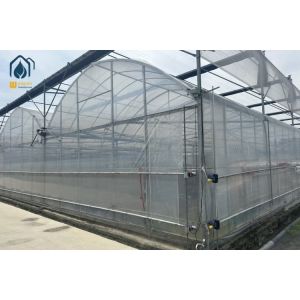 Buy cheap Multi Span Greenhouse Automated Hydroponic Greenhouse For Agriculture from wholesalers