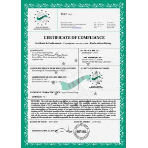 Digital Pressure Gauge 100Psi Air Differential Pump 80mm Digital Pressure