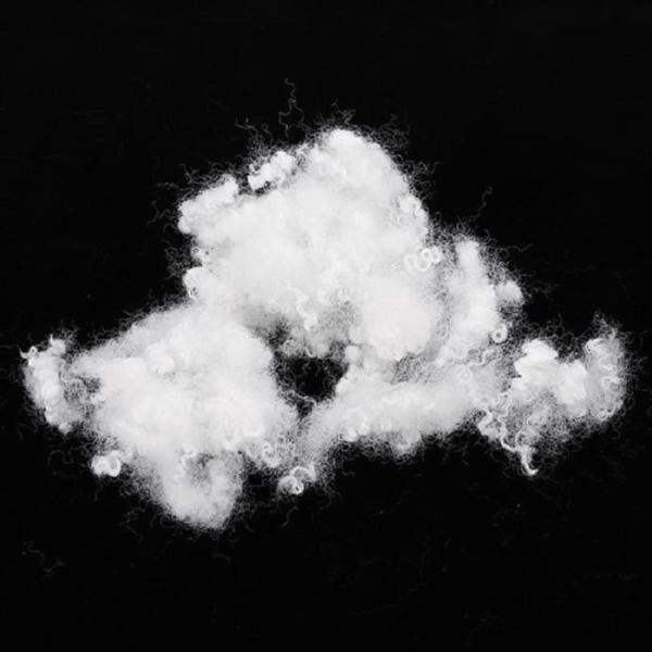 Buy cheap 64mm Virgin Hollow Conjugate Fiber SVHC Polyester Staple Fiber from wholesalers