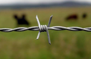 Double twist barbed wires Double twist barbed wires