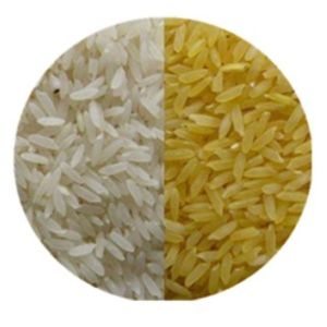 High Automation Twin Screw Fortified Rice Processing Machine 100kg/h-900kg/h