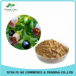 Buy cheap Atropa Belladonna Extract Powder Hyoscyamine 0.7% -1.5% from wholesalers