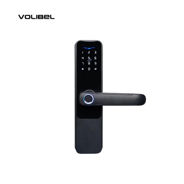 Buy cheap FCC Bluetooth Bolt Lock 5VDC Bluetooth Controlled Door Lock For Office from wholesalers