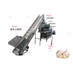 Automatic Garlic Peeling Line , Garlic Separating And Peeling Machine