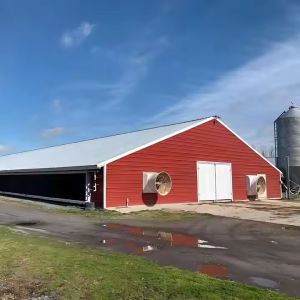 Buy cheap Industrial Steel Structure Shed , Light Frame Steel Houses Easy Installation from wholesalers