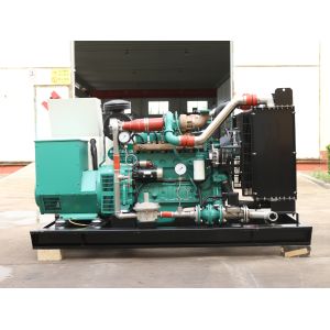 English Control System 300KW 375kva Natural Gas Powered Electricity Generator