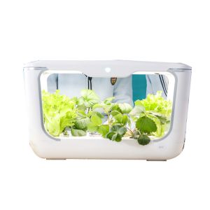 Buy cheap Self Watering Garden Germination Hydroponic Growing Systems from wholesalers