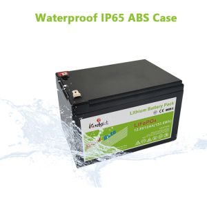 Bms Solar Lithium Phosphate Batteries 12.8 V 12ah Lifepo4 Battery Cell