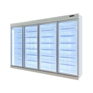 Fan Cooling Copeland Swing Glass Door Freezer With R404 Refrigerant