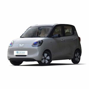 Buy cheap 2024 Wuling Hongguang MINIEV Pure Electric Compact Car 220V from wholesalers