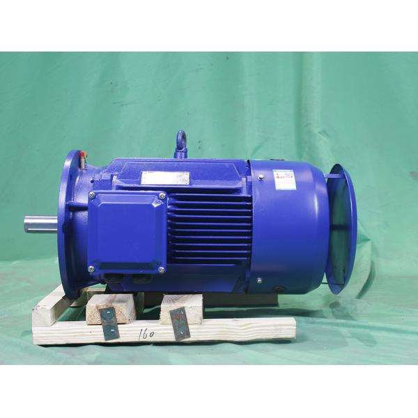 Buy cheap YE3-160L-6-11-380V-IP55-Class F-IM B3 Asynchronous Motor 3 Phase Variable Frequency from wholesalers