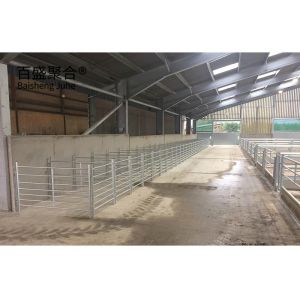 High Tolerance Steel Structure Barn for Goat and Sheep Farming in Farm Buildings