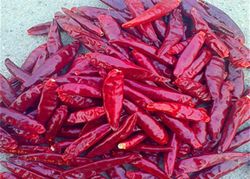 Quality Stemless AD Dried Birds Eye Chilli 20000SHU Red Chilli Peppers for sale