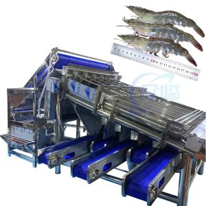 Buy cheap Shellfish sorting machine shrimp cleaning and sorting machine, automatic shrimp shell grinding, shelling and dethreading from wholesalers