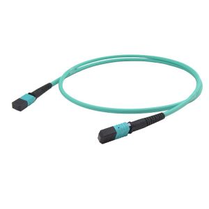 Data Transmission Fiber Optic Patch Cord / 12 Core Singlemode Cable 5M Length