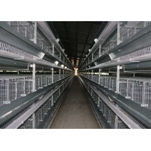 Buy cheap High Efficiency Chicken Layer Equipment Q235 Standard Steel Material from wholesalers