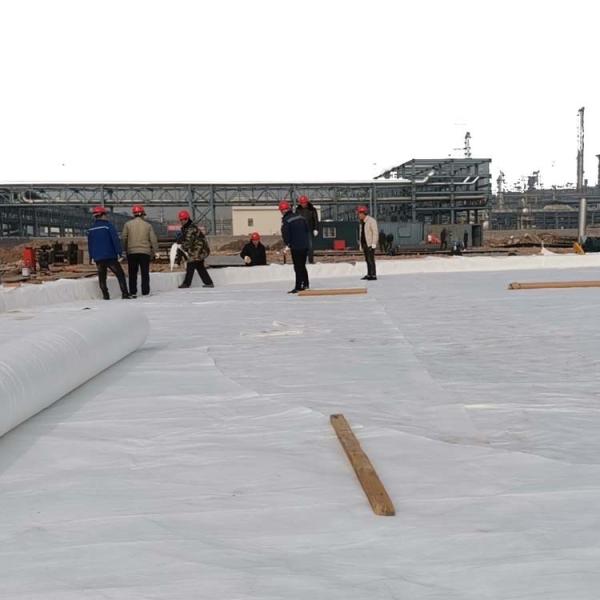 Buy cheap High Strength Geotextile for Filtering and Drainage Isolation in Mine Road Railway Dam from wholesalers