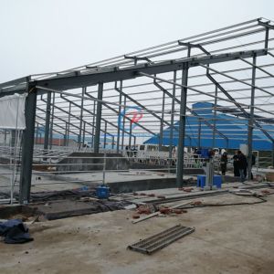 Buy cheap Prefab Steel Structure Livestock Shed Customized Metal Livestock Shed product
