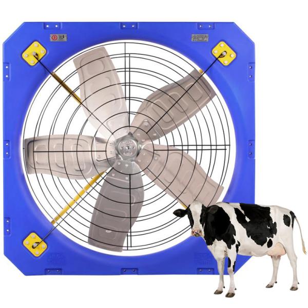 Buy cheap 1.1A Efficiency 38 Livestock Ventilation Fan with 410w Power from wholesalers