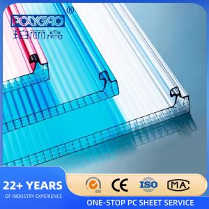 Danpalon Polycarbonate Multiwall U Locked Panel Honeycomb Polycarbonate Hollow