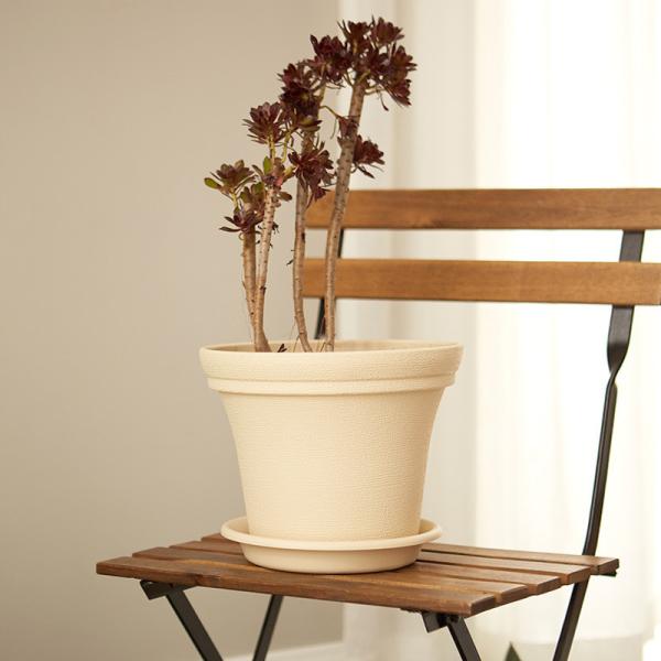 Quality 15CM 6 Inch Intensification Plastic PP Resin Plant Pots Saucers for sale
